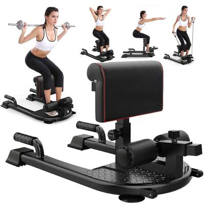 China Fitness Equipment Application 3-in-1 Padded Sissy Squat Machine Deep Sit Up, Gym Fitness Equipment Workout Leg Home Exercise for sale