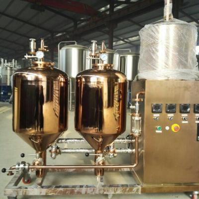 China Small Capacity Craft Beer Brewing Equipment 30L - 5000L Steam Heating For Home for sale