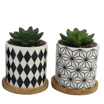 China Modern Ceramic Planter Pot Flower Pot Succulent Pot for sale