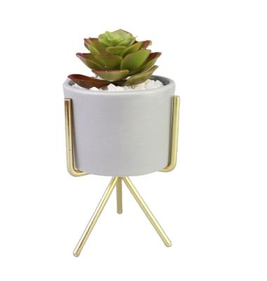 China Modern Ceramic Planter Pot Flower Pot Succulent Pot for sale