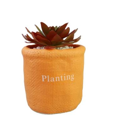 China Factory Wholesale Cheap Modern Ceramic Flower Pots Succulent Flower Pots Joy Living Modern Wholesale Indoor White Flower Pot for sale