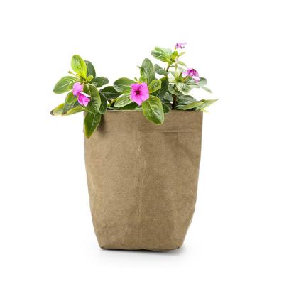 China Modern Custom Logo Eco-friendly Household Flowerpot Set Plant Paper Pots Recycled Kraft Paper Storage Washable Bag for sale