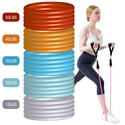 China 150LBS 11pcs Band Resistance Bands Set Workout Bands With 5 Exercise Bands 5 Resistance Stackable Loop For Training for sale