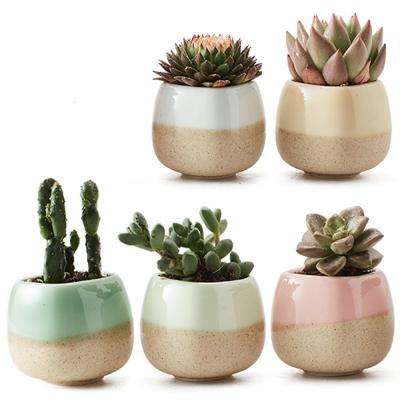 China Modern Flower Pot Plant Ceramic Succulent Pot Package Small Planter 5 Five Color Base Series for sale