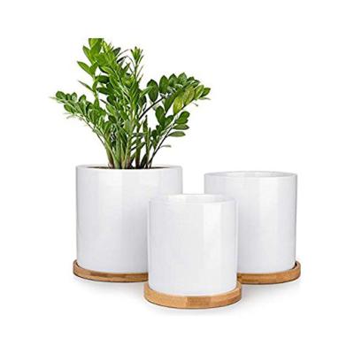 China Modern Round White Succulent Plant 3 Ceramic Pot Set With Bamboo Tray for sale