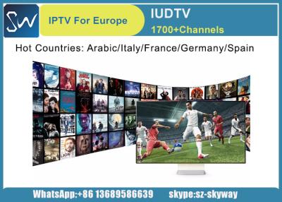 China 2017 Turkish Lig Tv IPTV Arabic Sport Sky Canal IPTV Channels 1 Year IUDTV Subscription for android tv box m3u for sale