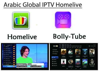 Cina Arabic IPTV Bein OSN Africa Europe USA Indian Global  Live channels + VOD stable iptv apk in vendita