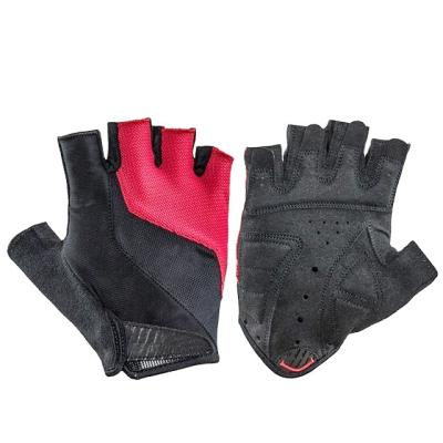 China FITNESS Unisex Workout WINPOINT Half Finger Fitness Gym Gloves for sale