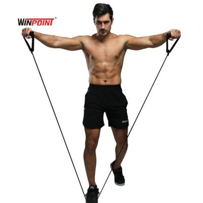 China Tone Training Popular WINPOINT FITNESS One Word Bands Resistance Pull Up Tube Exercise For Men And Woman for sale