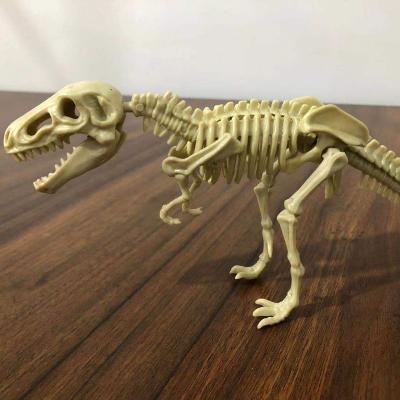 China Dig Sale Factory Excavation Skeleton Kit Popular Toys Fossil Dinosaur Kit for sale