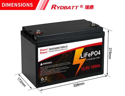 Cina batteria al litio 2000cycles ricaricabile di 12V 100Ah LiFePO4 costruita in BMS in vendita