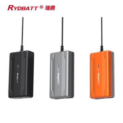 Cina Il caricabatteria dello ione di RYDBATT Li 120W inserisce il tipo per Ebike in vendita