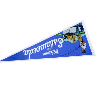 China Hanging BSCI Approved Good Quality Sinohigher Promotional Felt Flag Pennants for sale