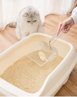 China New Design Stainless Steel Metal Cat Litter Spoon Durable Cat Garbage Shovel Wholesale Viable for sale