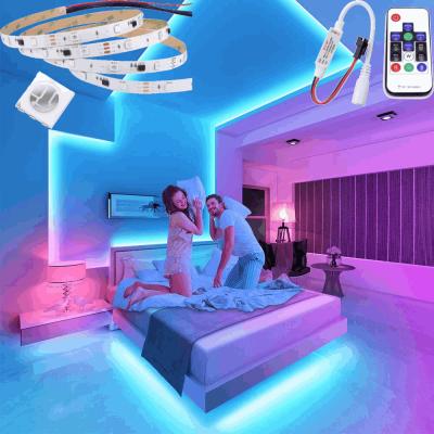 China Hotel WS2811 Colorful Digital Led Strip Light 10 Pixels With Indoor Housing Lighting IP66 Waterproof for sale