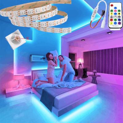 China LANDSCAPE BG6815 IC In LED Digital LED Strip RGB 60 Pixels Remote Controller Accessible Colorful Flexiable Strip for sale