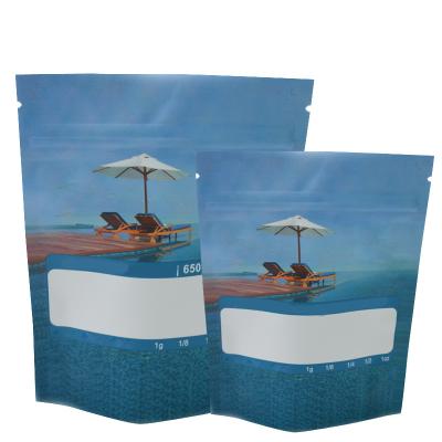 China Smell Proof Moisture Proof Zipper Moisture Proof Lock Stand Up Pouch Mylar Resealable Printed Bags for sale