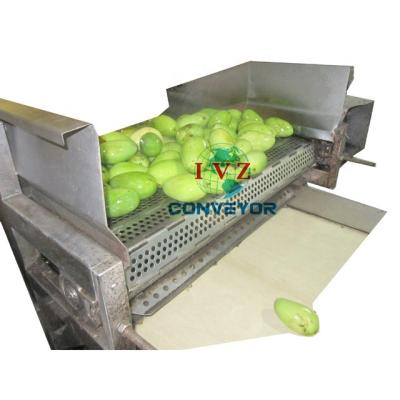 China Oil Resistant Industrial Fresh Vegetable Fruits Machinery Washing Machine Cleaning Drying Processing Conveyor for sale