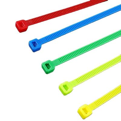 China Nylon Nylon Cable Ties Recycle Live Buckle Removable Detachable Plastic White Cable Ties for sale