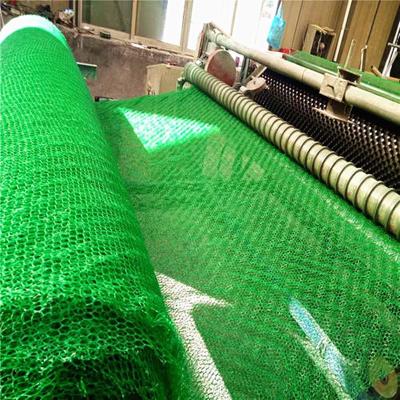 China Geonet Modern Popular 3d Sample Vegetation Plastic Free Net for sale