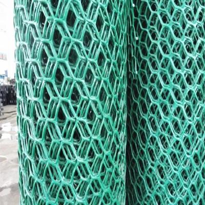 China China Geonet Price 5mm Modern HDPE Geonet For Slope Protection for sale