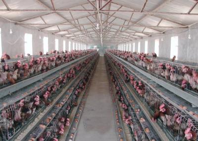 China Het vlotte Materiaal van de Oppervlakteveehouderij voor Geautomatiseerde Eiinzameling Te koop