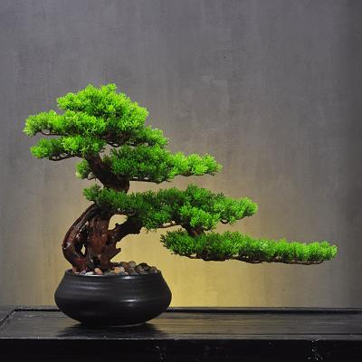 China Japanese Cedar Artificial Indoor Podocarpus Pine Bonsai Plant Traditional Potted Faux Tree Display for sale