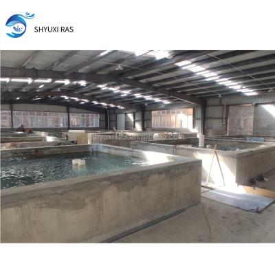 China Hotels Water Treatment Equipment For Circulating Water Aquaculture Water Filter Indoor Freshwater System 200000L/H Productivi for sale