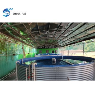 China Intelligent Farms SHYUXI RAS Best Quality Aquaculture System Design Equipment 200 Square Meters Indoor Standard for sale