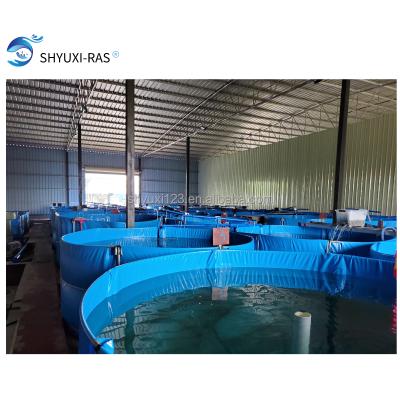 China Fish Pond Equipment Ras Aquaculture Systems For Fish Farm Indoor Shrimp Ras Recirculating Aquaculture System SHYX-RAS500 for sale