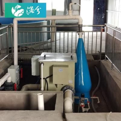 China Indoor Aquaculture Fish Farming Circulating Water Aquaculture Control System For Fish Hatchery Equipment Rass for sale