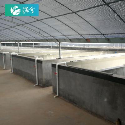 China Circulating Water High Density Shrimp Nursery Cement Indoor Pond Culture CR-IS-1000ã Ž ¡ for sale