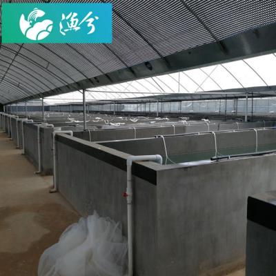 China RAS Aquaculture System Fish Farm Indoor Recycling Equipment for Grouper CR-IS-1000ã Ž ¡ for sale