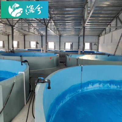 China Aquaculture fish farming circulating water fish culture system design equipment installation and 500 square meter indoor high density commission for sale