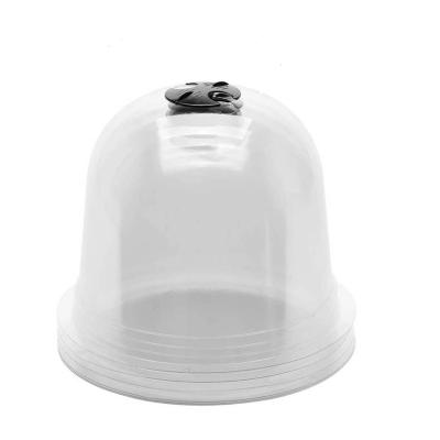 China Garden Cloche Dome Plant Bell Protector Outdoor Gardening Cover for sale