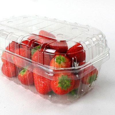 China Recyclable Disposable Plastic Fruit Container for sale