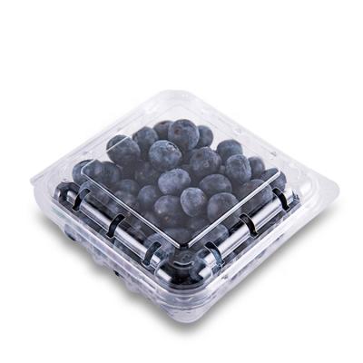 China Disposable Clamshell 250g Fruit Packaging Container PET Disposable Blueberry Packaging Container for sale