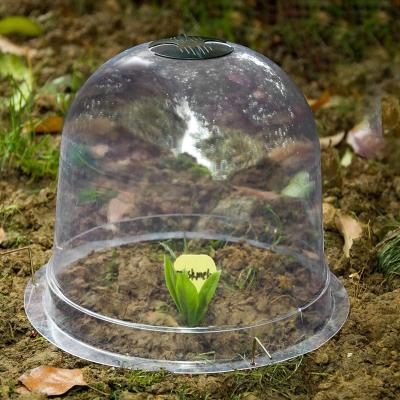 China Garden Protective Cloche Bonsai Plant Dome Bell Outdoor Gardening Plastic Cover 6 Packs for sale