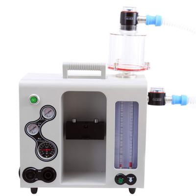 China Provide Anesthetic Gas For Operation Manufacture Eye Gas Shock Absorber Gas Vet Economical Anesthesia Machine CE ISO for sale