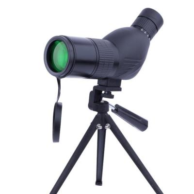 China Wholesale 12-36x Zoom Birdwatching Sky-watching Scope With Tripod for sale