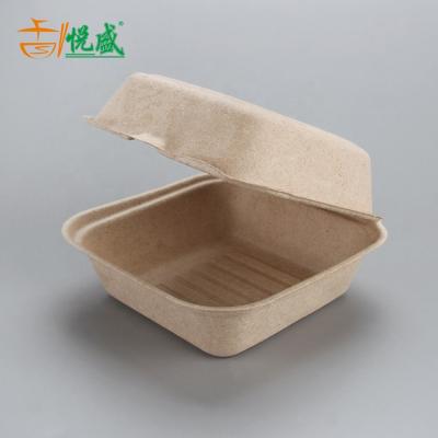 China Disposable Biodegradable Sugar Cane Pulp Hinged Food Container Hamburg Box for sale