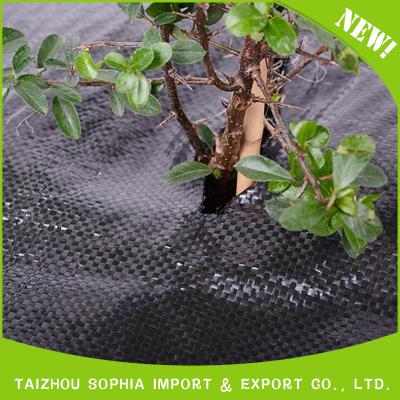 China landscape fabric/weed control mat/wholesale ground cover control mat landscape fabric agricultural ground cover pp for sale