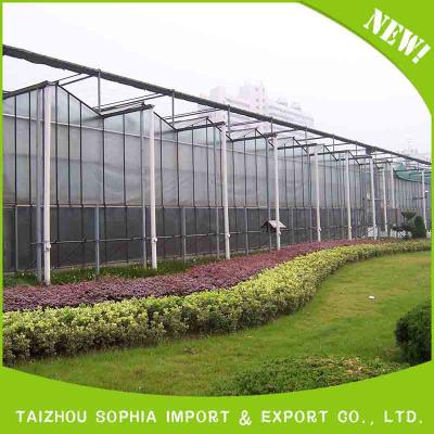 China Newest High Performance Moisture Proof UV Film For Greenhouse for sale