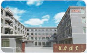 Verified China supplier - Zhejiang Pujiang Sheng Li Industry & Trade Co., Ltd.