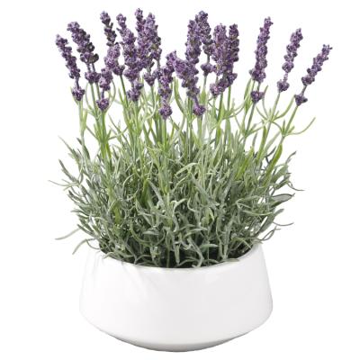 China 2021 Minimalist Artificial Flower Bonsai Diffuser Lavender With White Pot for sale