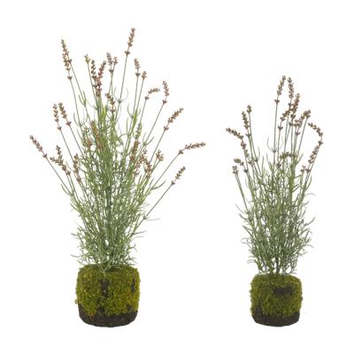 China New Arrival Plastic Decorative Lavender Greenery Plant Bonsai Artificial Lavender Plants With Moss Pot for sale