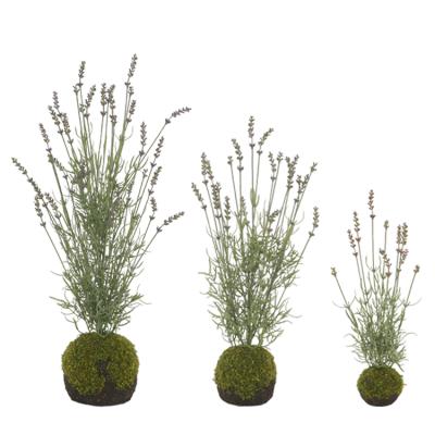 China Plastic Faux Evergreen Artificial Ornamental Craft Lavender With Moss Pot For Home Decor for sale