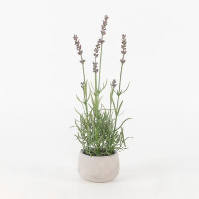 China 2021 New Design Plastic Artificial Gift Craft Simulated Lavender Plastic Plants With Round Cement Pot for sale