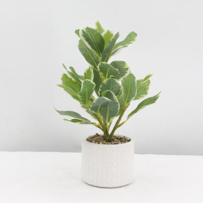 China Simulation Mini Small Bonsai Artificial Plant Plant Pot Minimalist Artificial Home Decor for sale