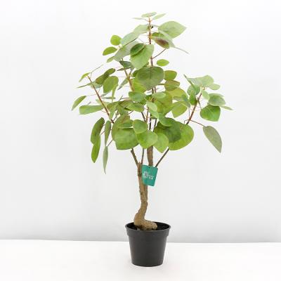 China Small Home Plants 70cm Artificial Silk Tree Plant Pomegranate Leaves Bonsai for sale